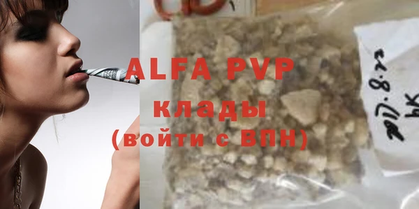 стаф Киренск