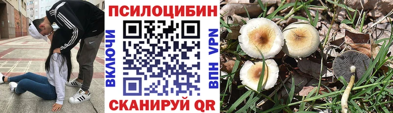 как найти MEGA как войти Галлюциногенные грибы мухоморы Болохово